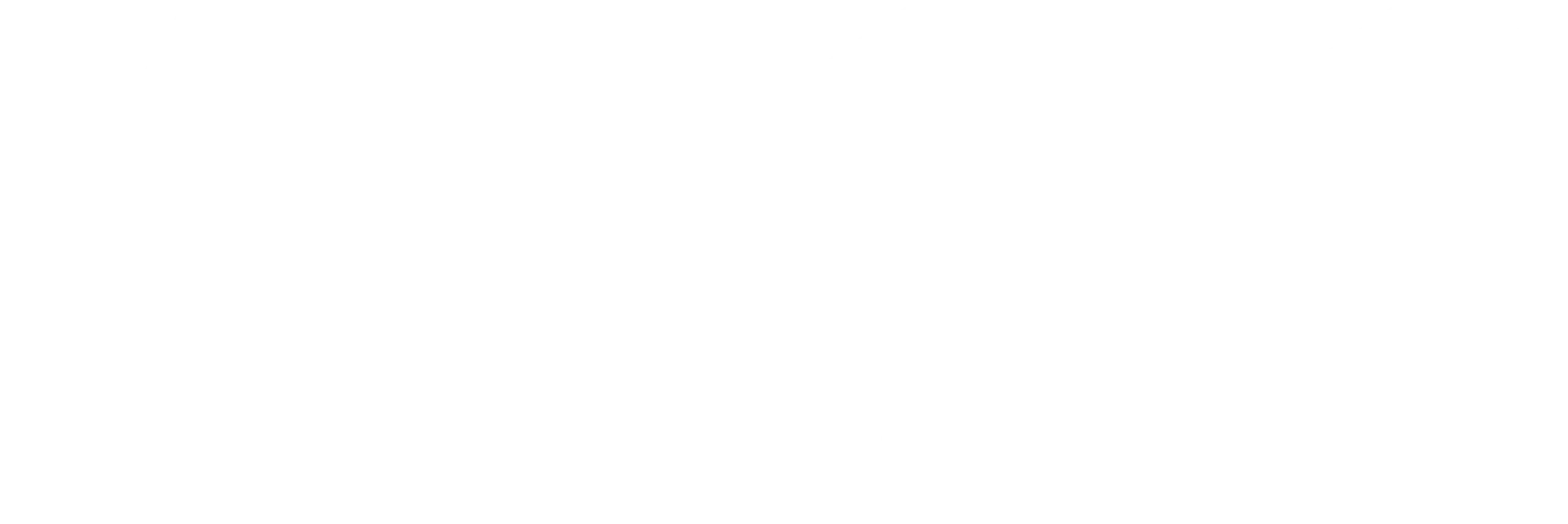 AMMI Digital Marketing